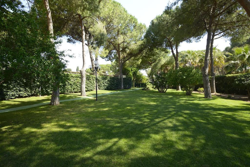 Oasis Alguer