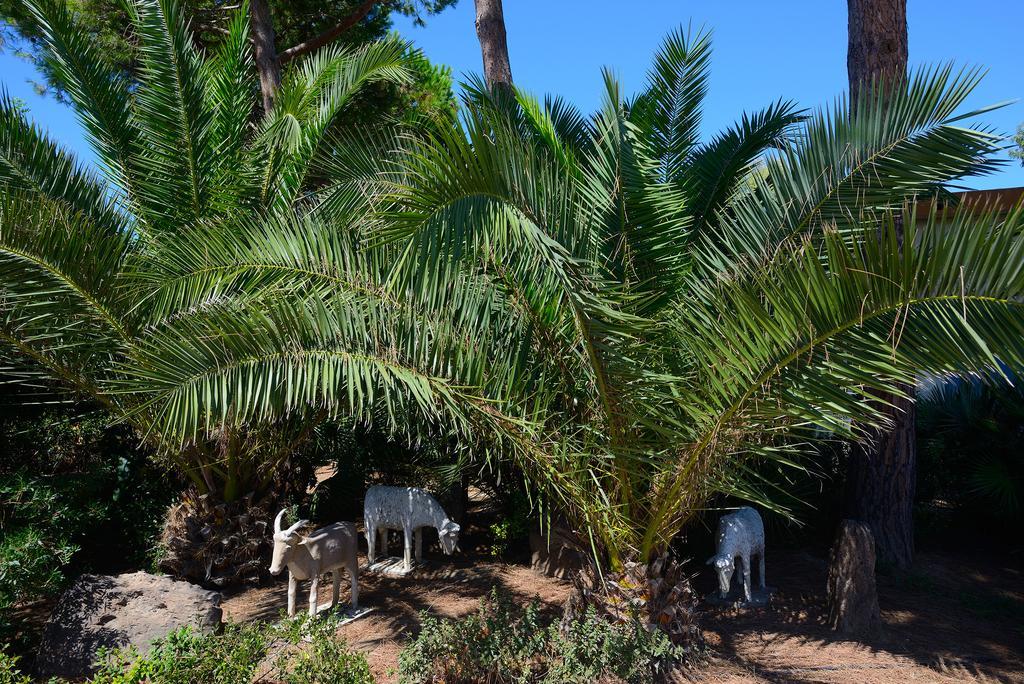 Oasis