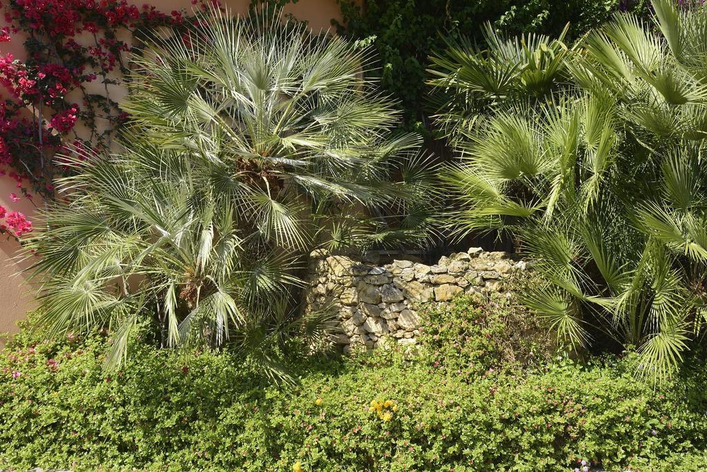Aparthotel Oasis Alghero
